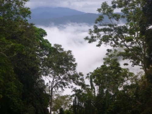 Kokoda7DayTrek1129-396