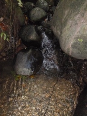 Kokoda7DayTrek1129-398