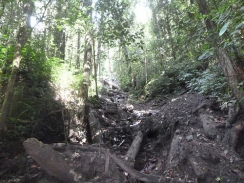 Kokoda7DayTrek1129-404