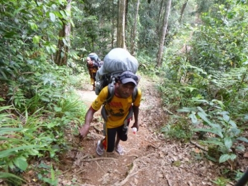 Kokoda7DayTrek1129-451