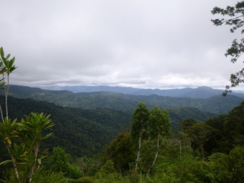 Kokoda7DayTrek1129-454