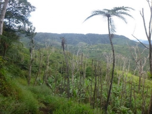 Kokoda7DayTrek1129-463