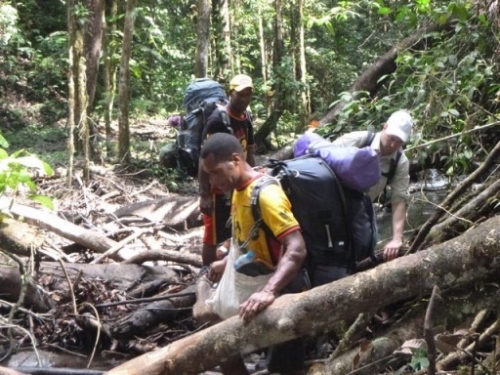 Kokoda7DayTrek1129-469
