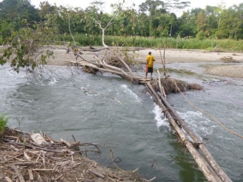 Kokoda7DayTrek1129-472