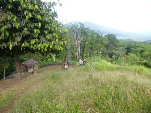 Kokoda7DayTrek1129-474