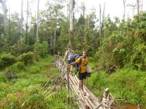 Kokoda7DayTrek1129-488