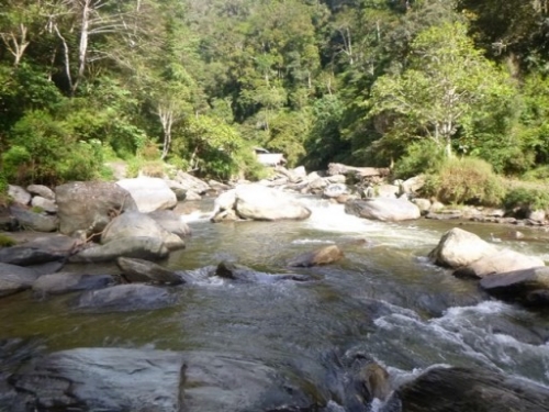Kokoda7DayTrek1129-81