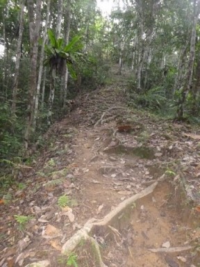 Kokoda7DayTrek1129-86