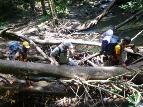 Kokoda7DayTrek1129-91
