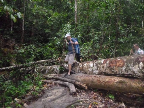 Kokoda7DayTrek1217-134