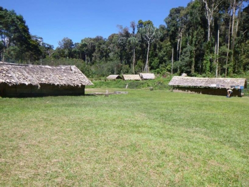Kokoda7DayTrek1217-148