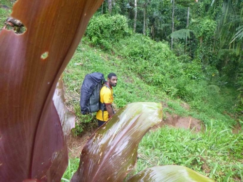 Kokoda7DayTrek1217-184