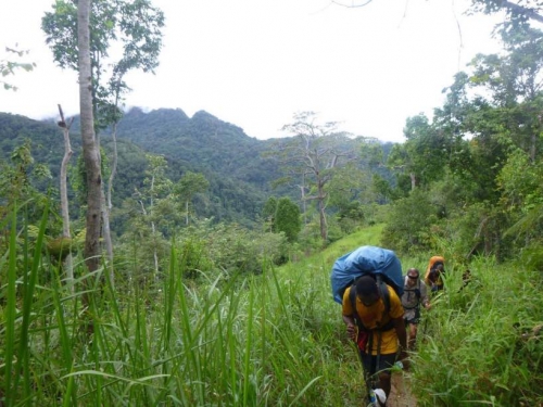 Kokoda7DayTrek1217-203