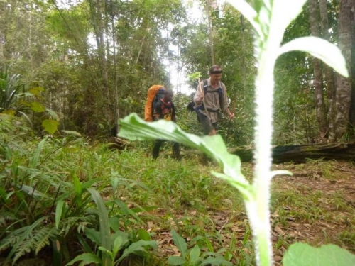 Kokoda7DayTrek1217-210