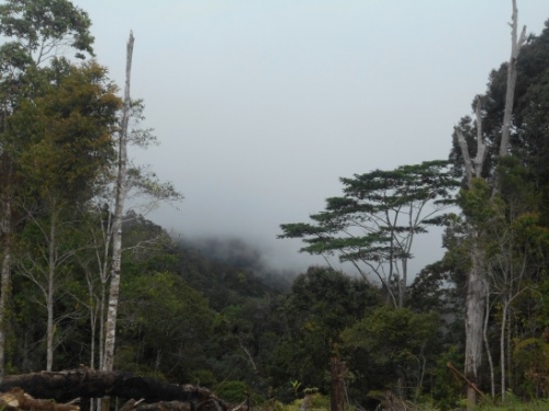 KokodaAdventureTrek-1155-120