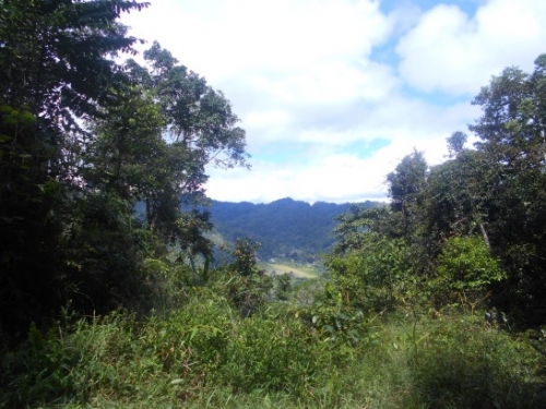 KokodaAdventureTrek-1155-167