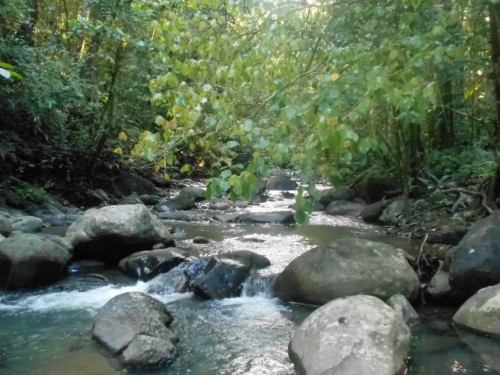 KokodaAdventureTrek1133-121