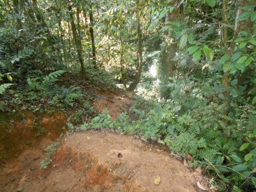 KokodaAdventureTrek1133-125