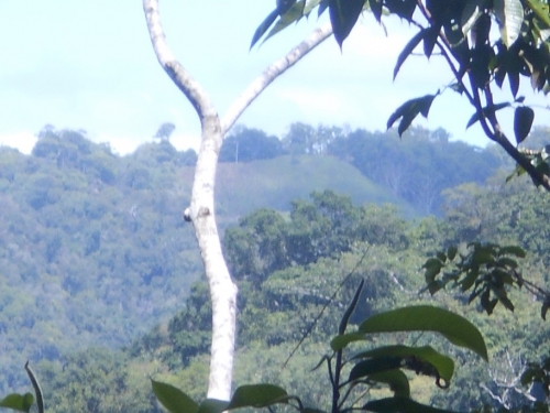 KokodaAdventureTrek1133-136