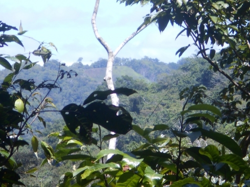 KokodaAdventureTrek1133-137