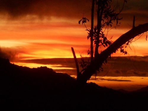 KokodaAdventureTrek1133-72