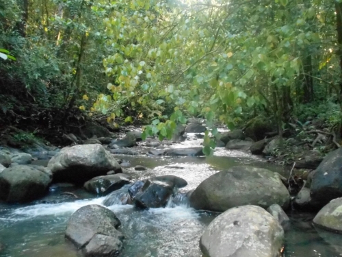 KokodaAdventureTrek1133-76