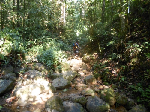 KokodaAdventureTrek1133-79