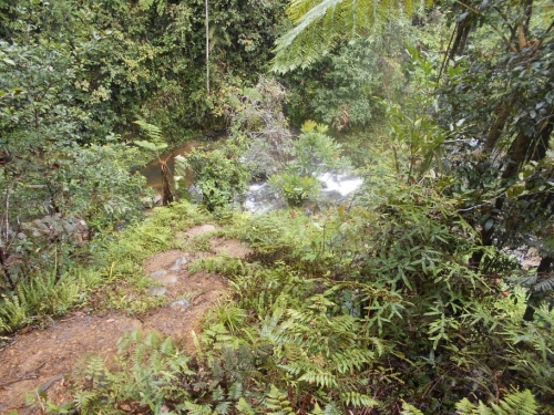 KokodaAdventureTrek1133-93