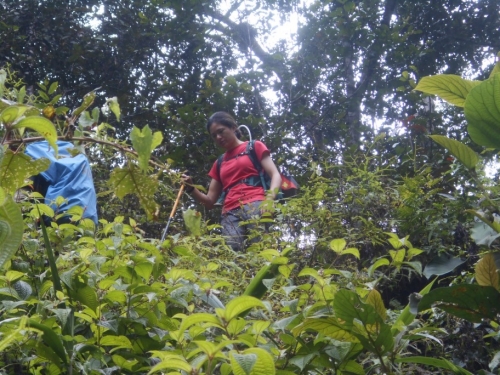 KokodaAdventureTrek1133-95