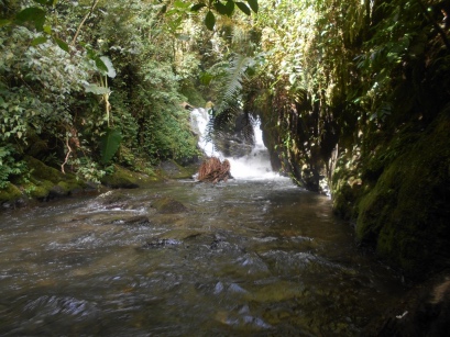 KokodaAdventureTrek1141-111