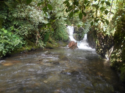 KokodaAdventureTrek1141-112