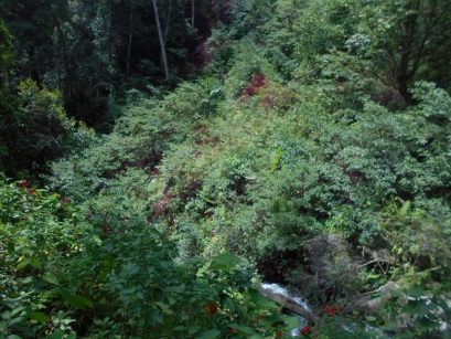 KokodaAdventureTrek1141-124