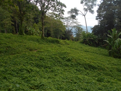 KokodaAdventureTrek1141-141