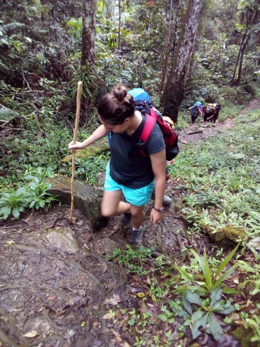 Kokoda-Adventure-Trek-1216-758