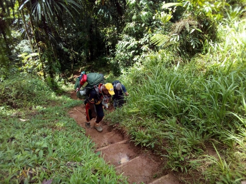 Kokoda-Adventure-Trek-1216-944