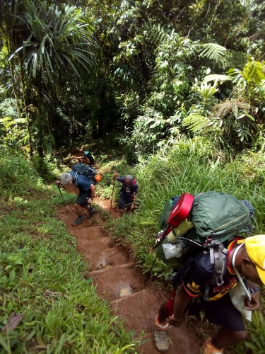 Kokoda-Adventure-Trek-1216-945